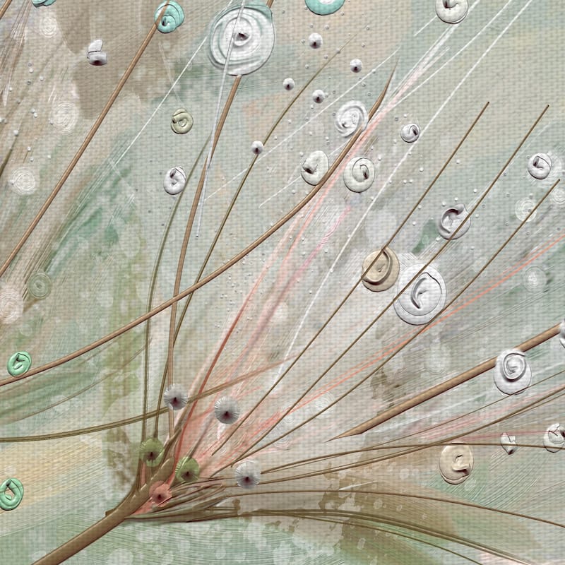 Dewdrop Colors by Studio Arts Canvas Art Print