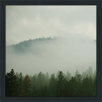 "Verdant Country I" by Carol Robinson Print on Acrylic