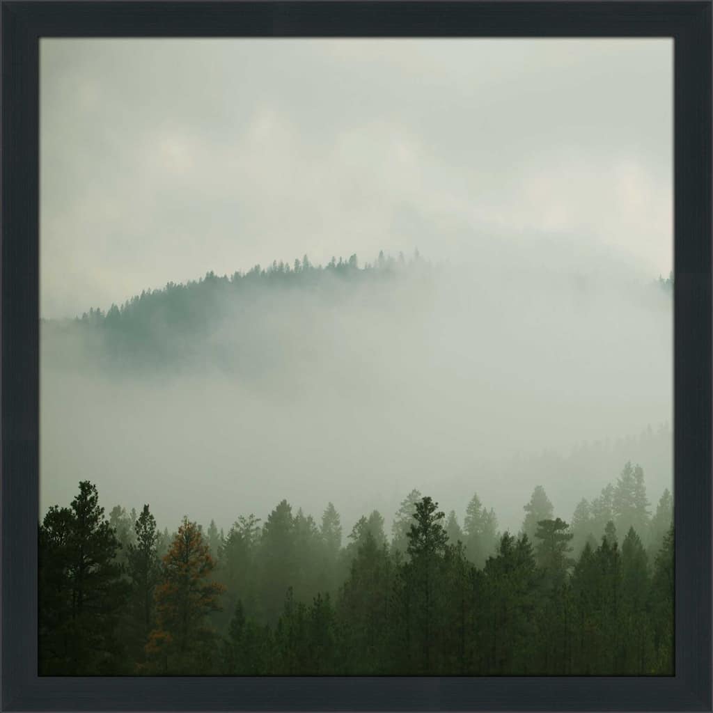 "Verdant Country I" by Carol Robinson Print on Acrylic