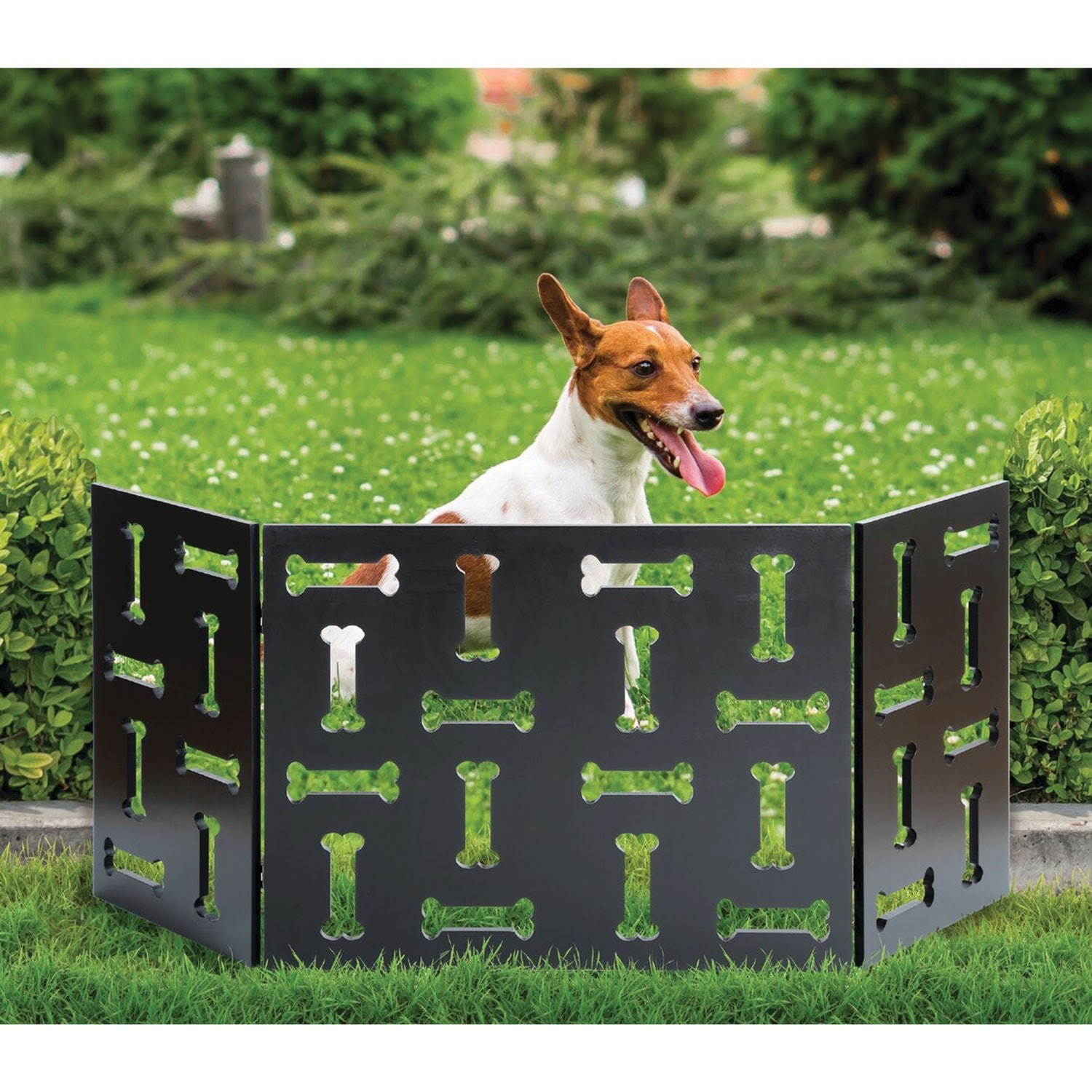Outdoor pet barrier shop