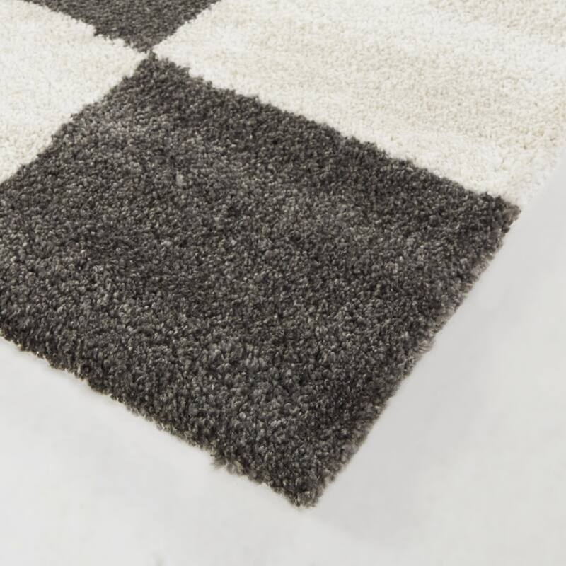 Reinhart Checkered Area Rug