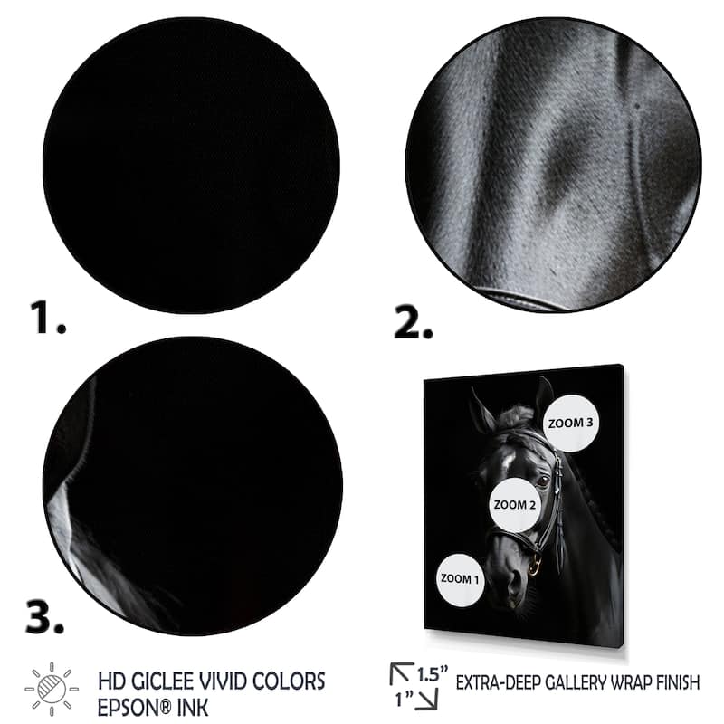 Designart "Black And White Horse Elegance" Animals Horse Framed Wall Decor