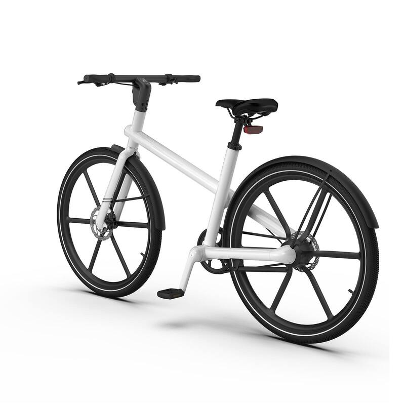 350W Electric Bicycle with Pedal-Assist, Efficient and Eco-Friendly E-Bike for Commuting and Leisure Rides