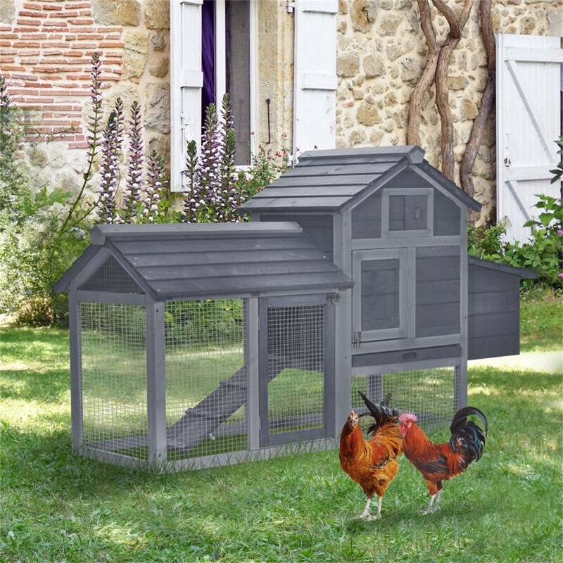Compact Fir Wood Chicken Coop with Elevated House, Nesting Box, and Ramp