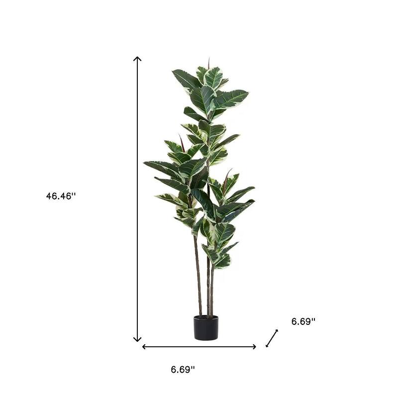 HomeRoots 63" Green Artificial Rubber Tree in a Black Pot - 6.69 in. x 62.99 in. x 6.69 in.