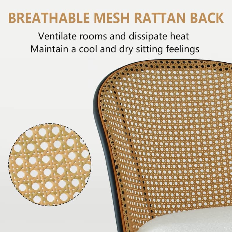 Rattan Dining Chair Side Chair(Set of 4)