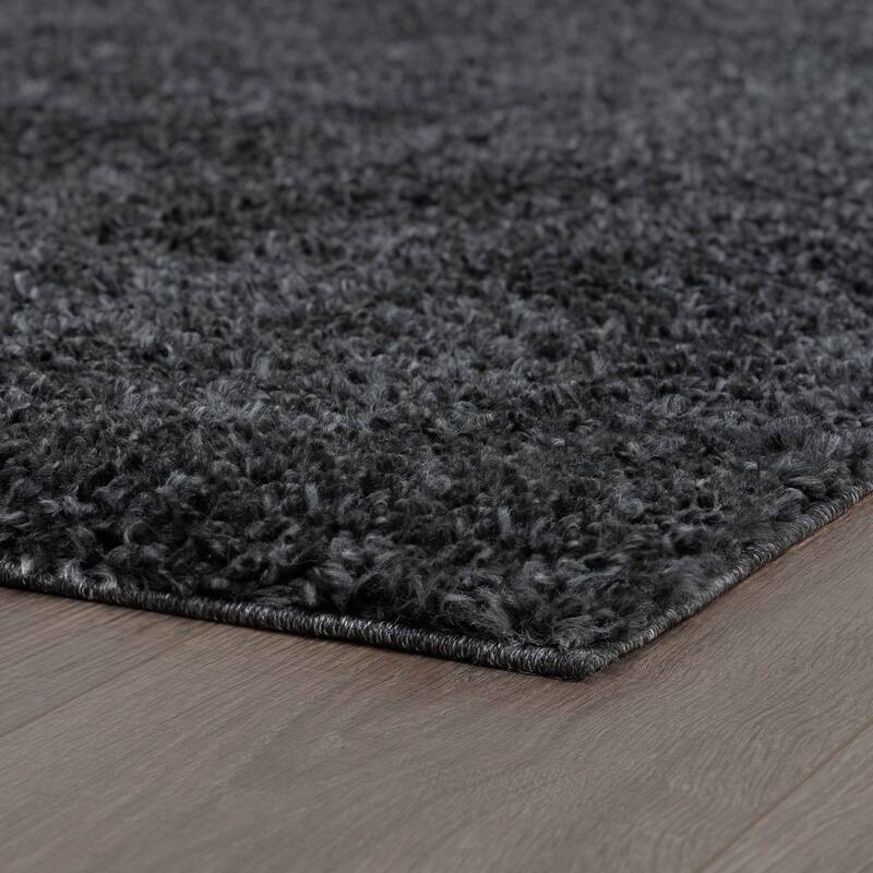 Sohni Shag Farmhouse Solid Color Indoor Area Rug