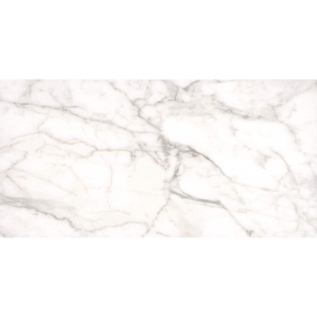 Ackland AKNPTLEG12X24M-CA Legacy - 12" x 24" Ceramic Solid Tile - - Arclina