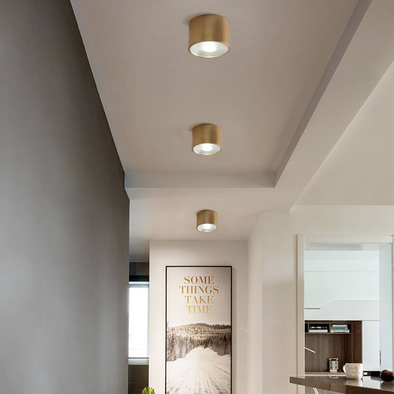 LED Flush Mount Ceiling Light Modern Light Fixtures Ceiling