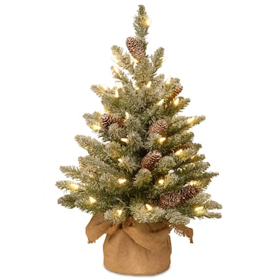 National Tree Company 2 ft. Snowy Concolor Fir Tree with Battery-Operated LED Lights - 2 feet