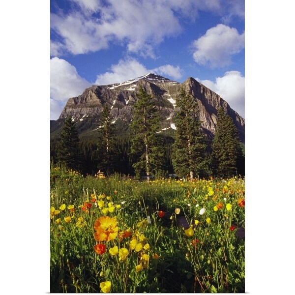 "Poppies and wildflowers blooming in front of mountain peak, Alberta, Canada." Poster Print