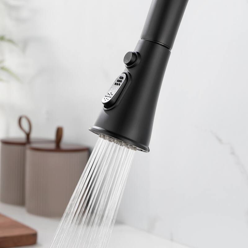 Single Handle Pull-down Sprayer Kitchen Faucet With Deck plate