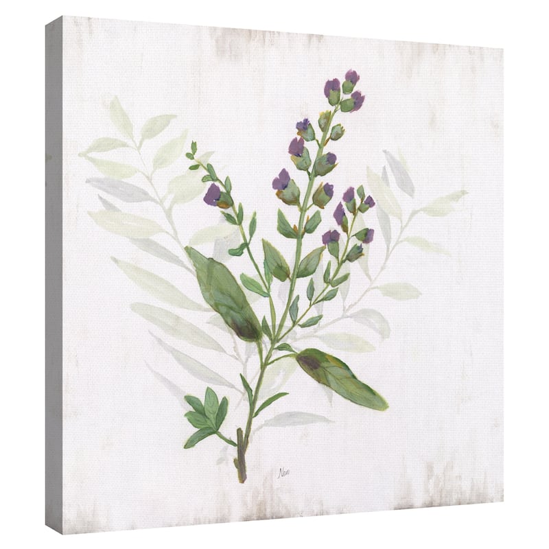 Kitchen Garden II by Nan Canvas Art Print