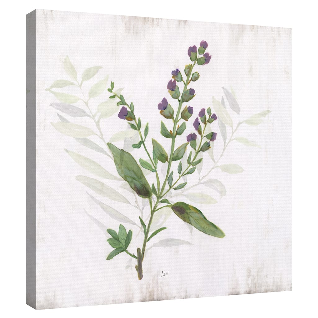 Kitchen Garden II by Nan Canvas Art Print