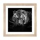 preview thumbnail 8 of 18, iCanvas "Tiger In Water, Black & White" by Lukas Holas PFA Natural - 16x16x1