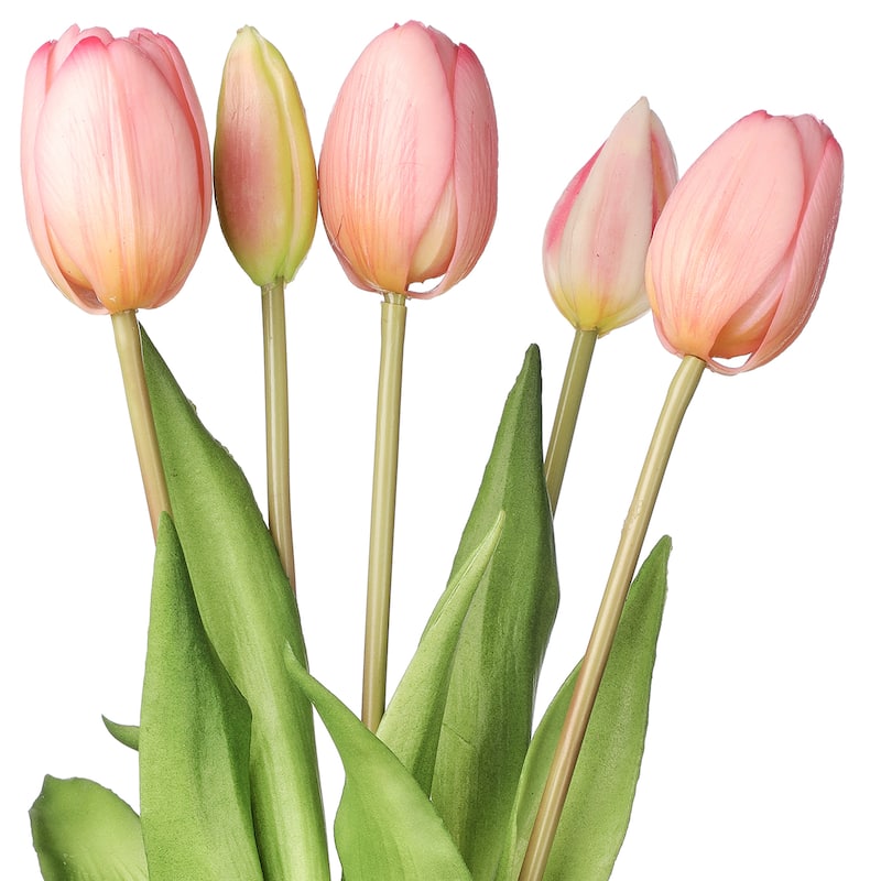 Plastic Soft Touch Tulip Bundlex5 15.25"