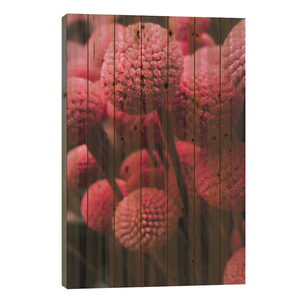 Pink Bommels Print On Wood by Sebastian Hilgetag - Multi-Color