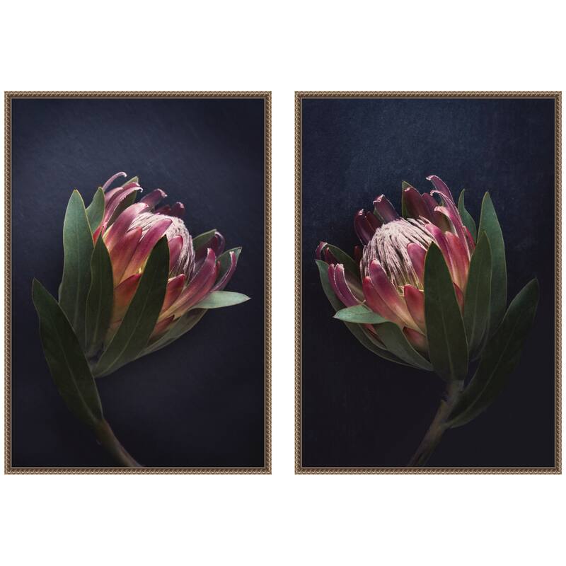 Kate and Laurel Moody ProteaNo. 1 & No. 2 2 Piece Framed Canvas Wall Art Set by Emiko and Mark Franzen F2 Images - 2 Piece Set 23x33 - Gold