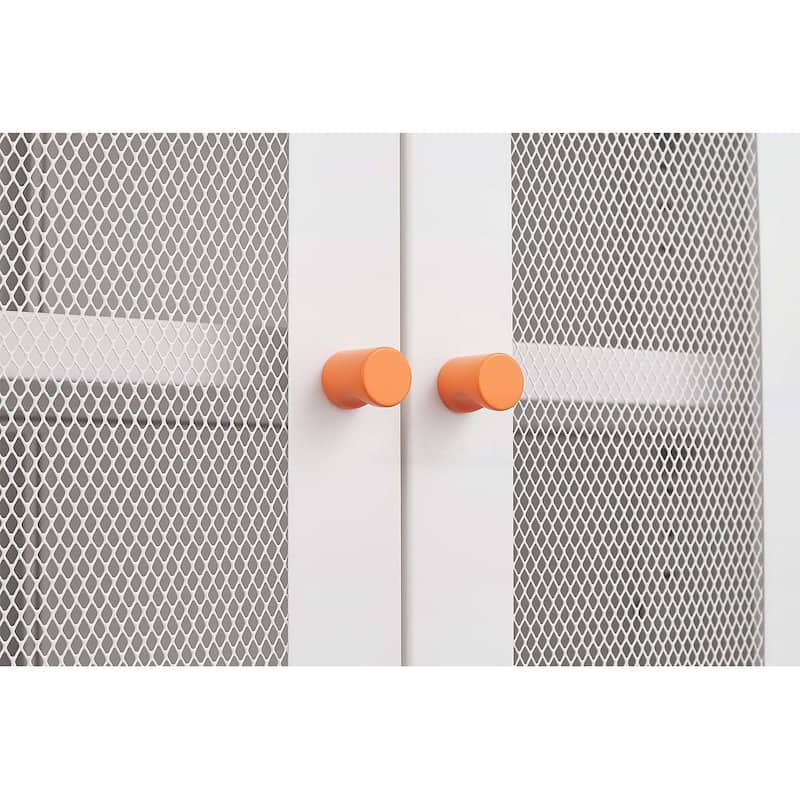 Modern Minimalist Double Door Shoe Cabinet