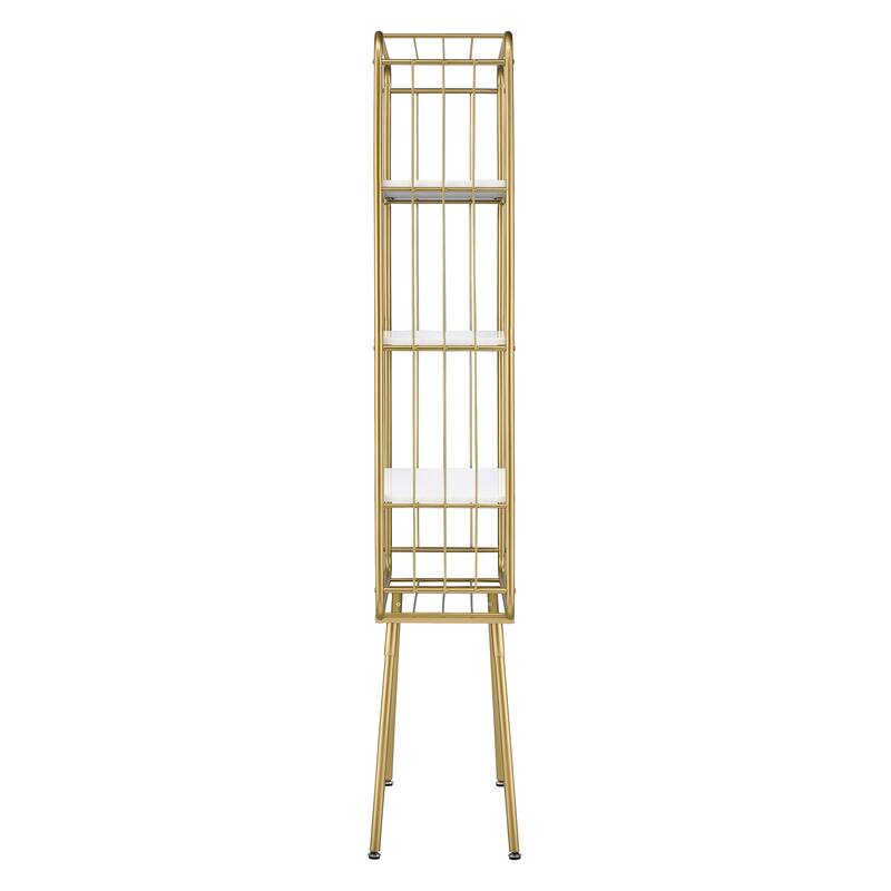 Greste Contemporary Gold 4-Shelf Steel Bookcase by Furniture of America