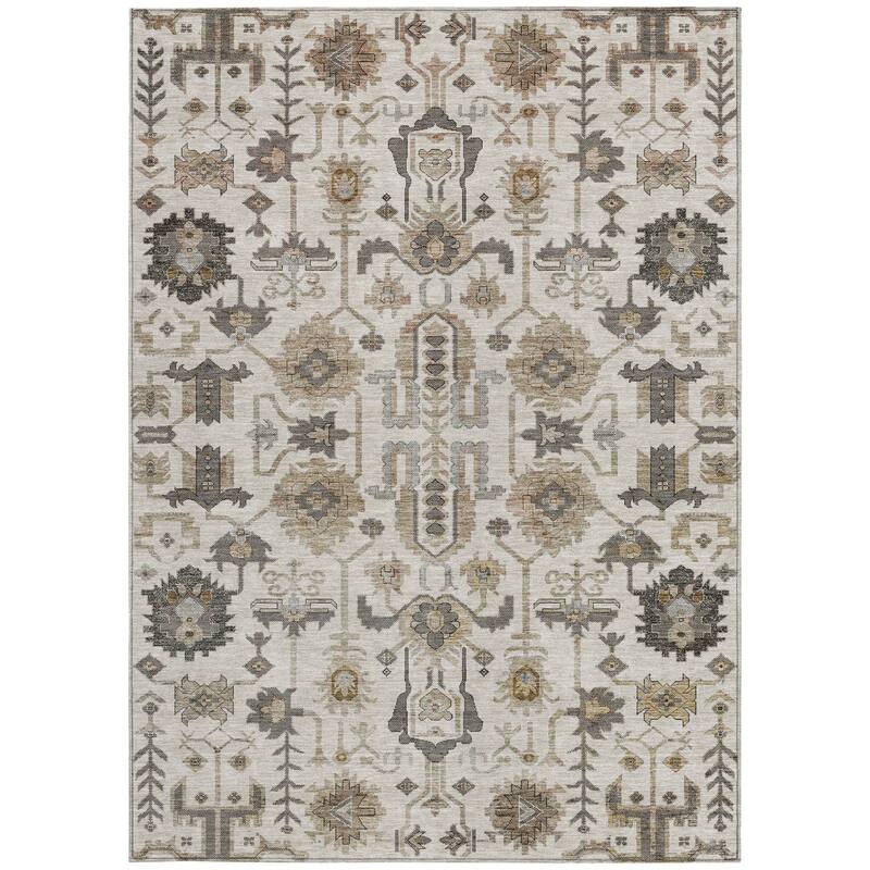 HomeRoots Oriental Traditional Rectangle Outdoor Rug