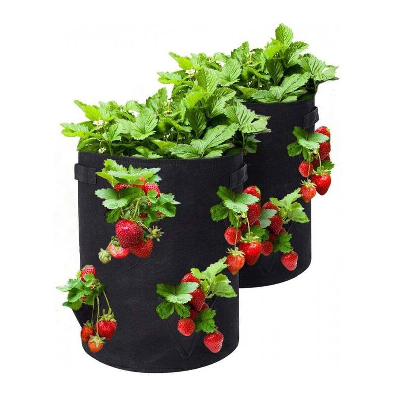 Agfabric Strawberry Grow Bag,10gal,2pack 10gal Bed Bath & Beyond