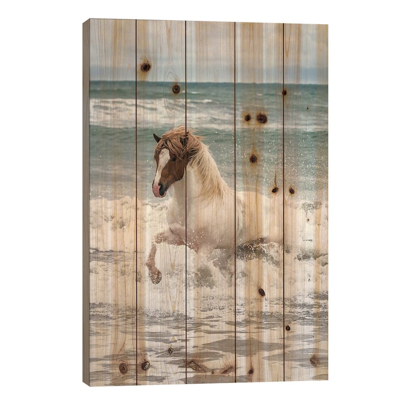 Icelandic Horse In The Sea, Longufjorur Beach, Snaefellsnes Peninsula, Vesturland, Iceland Print On Wood by Panoramic Images - 26x18x1.5