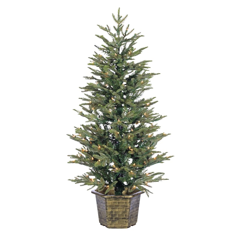 4.5 ft. Pre Lit Clear UL Potted Natural Cut Eastern Pine