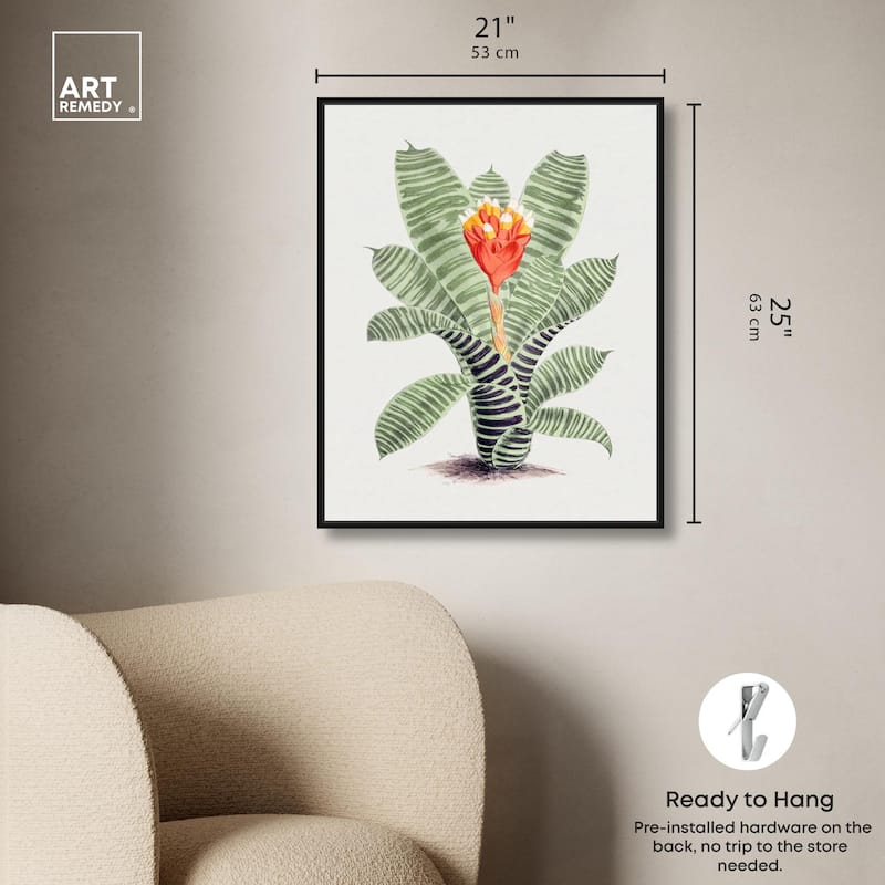 Tillandsia Musaica Plant Canvas by Art Remedy