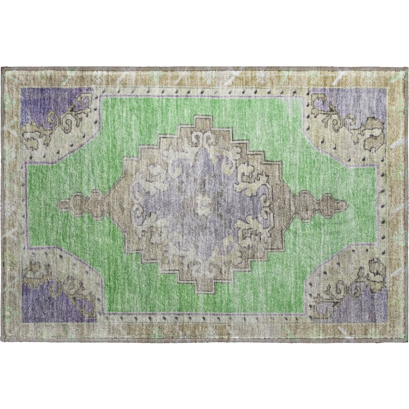 Premium Washable Super Soft Vintage Traditional Mayfield Rug