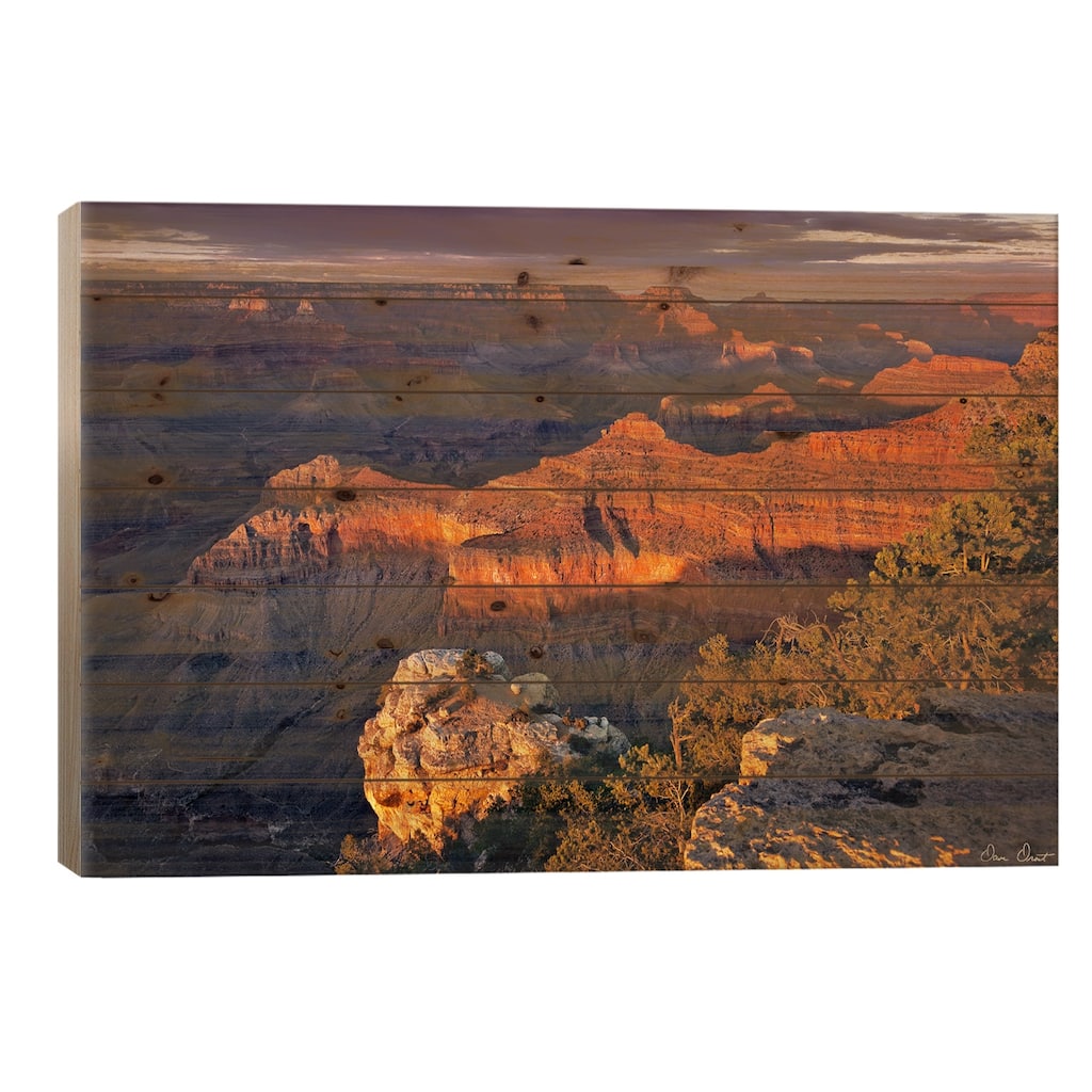Canyon View X Print On Wood by David Drost - Multi-Color
