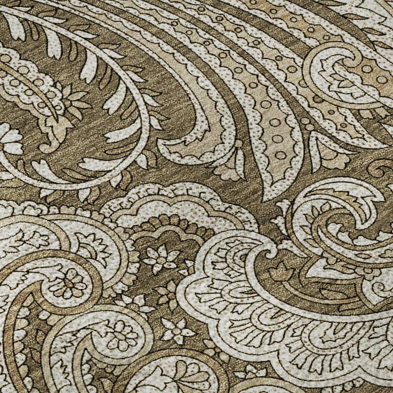 Premium Washable Super Soft Traditional Paisley Mayfield Rug