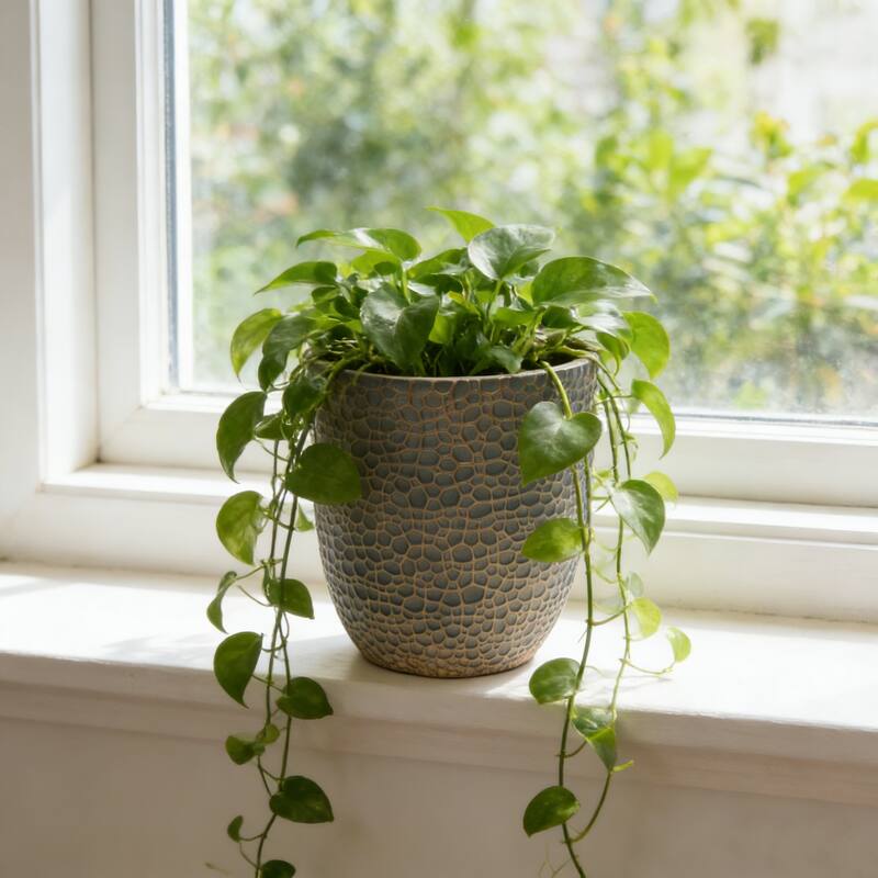 Large Outdoor Indoor Planter, 15.75"+11.4"+7.87" Dia Round Magnesium Oxide Planter Set of 3, Flower Pots with Drainage Holes