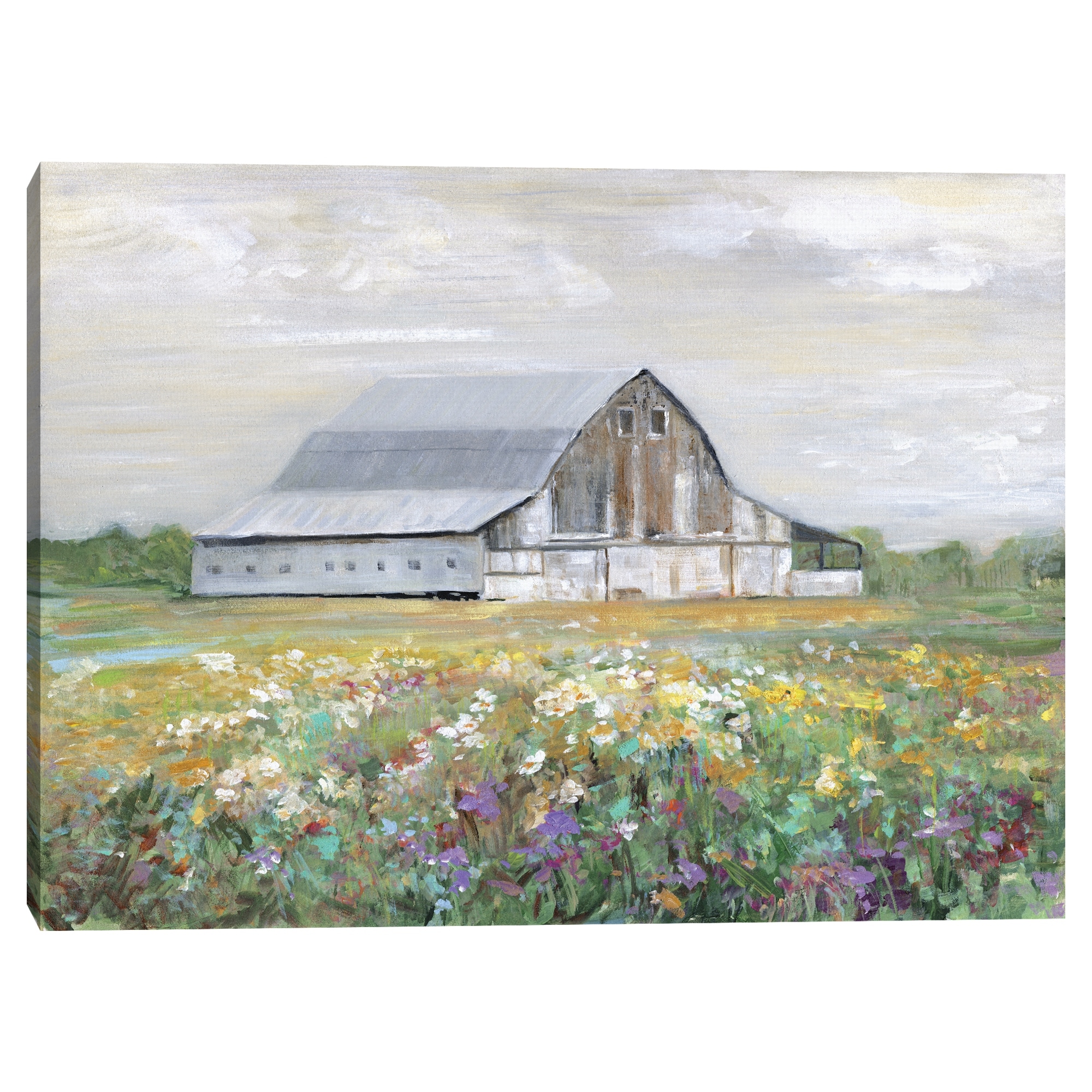Country Fields by Sally Swatland Canvas Art Print