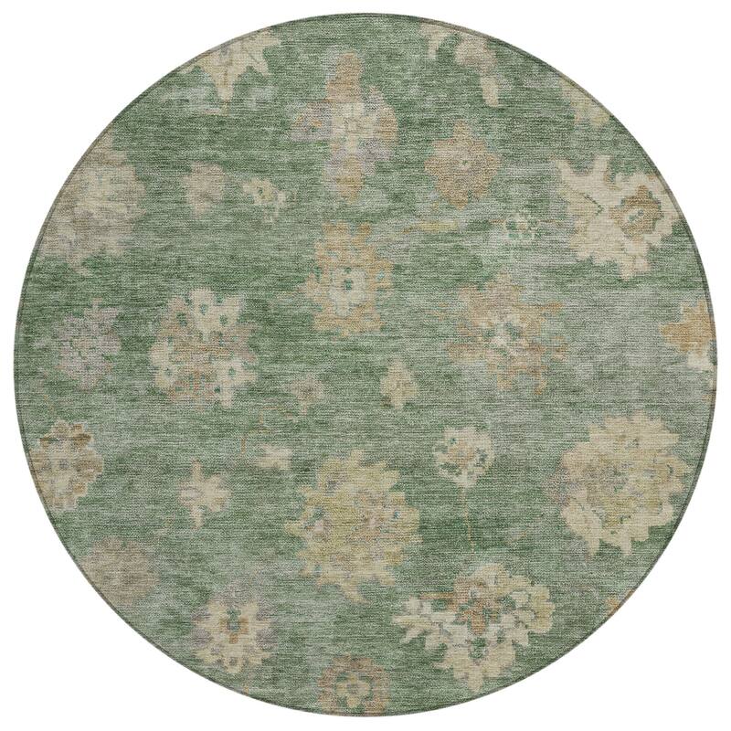 Machine Washable Indoor/ Outdoor Casual Traditional Chantille Rug