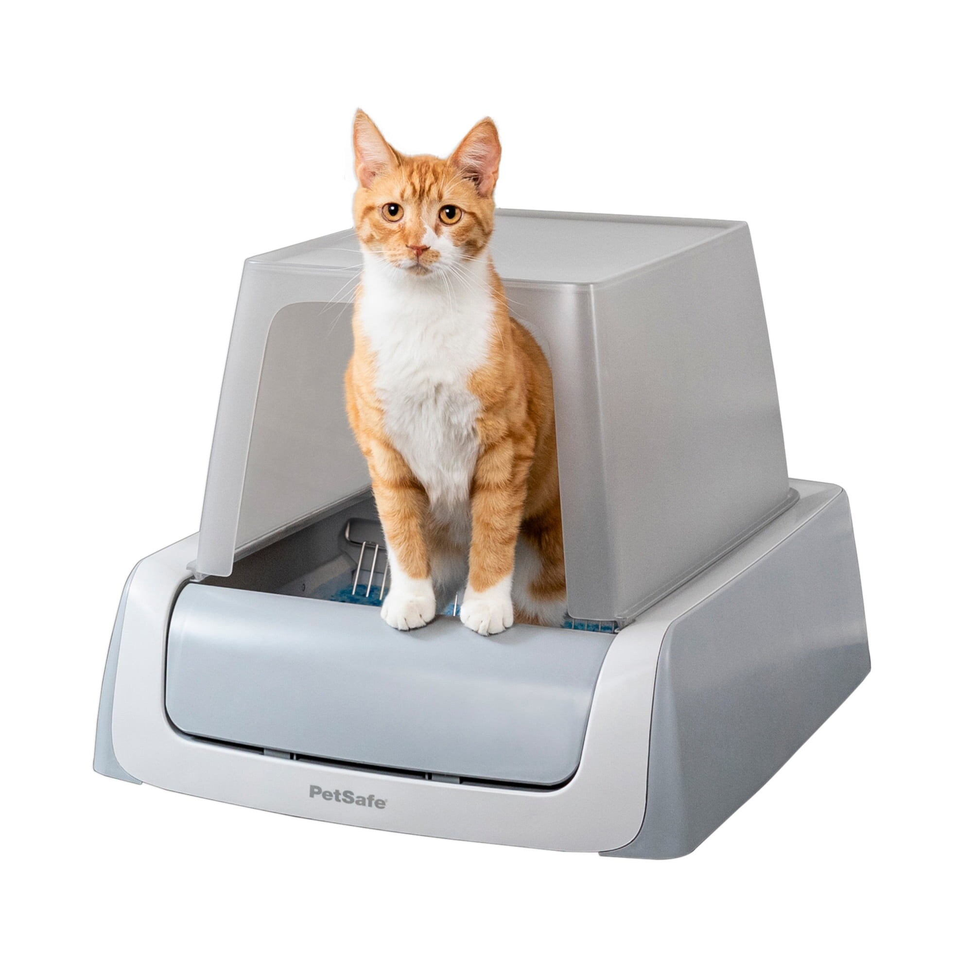 Litter robot bed bath and beyond on sale