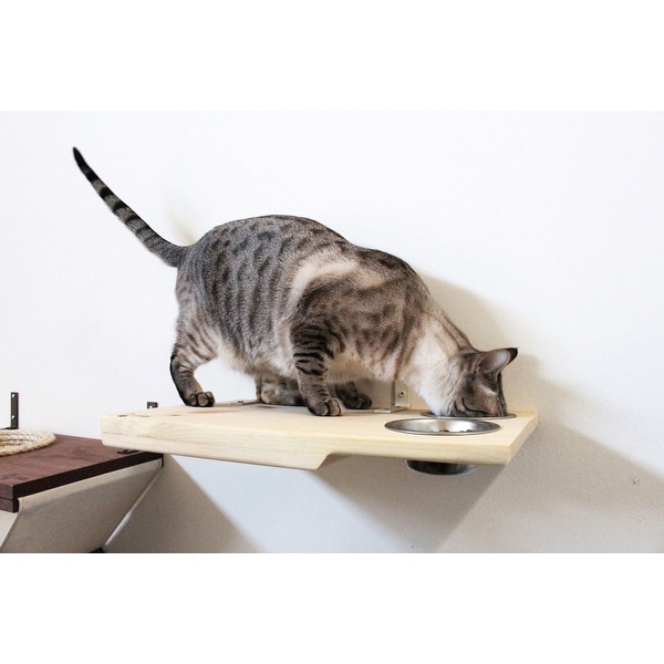 cat dining shelf