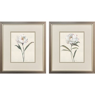 Paragon Peony Grand Framed Art - Set of 2