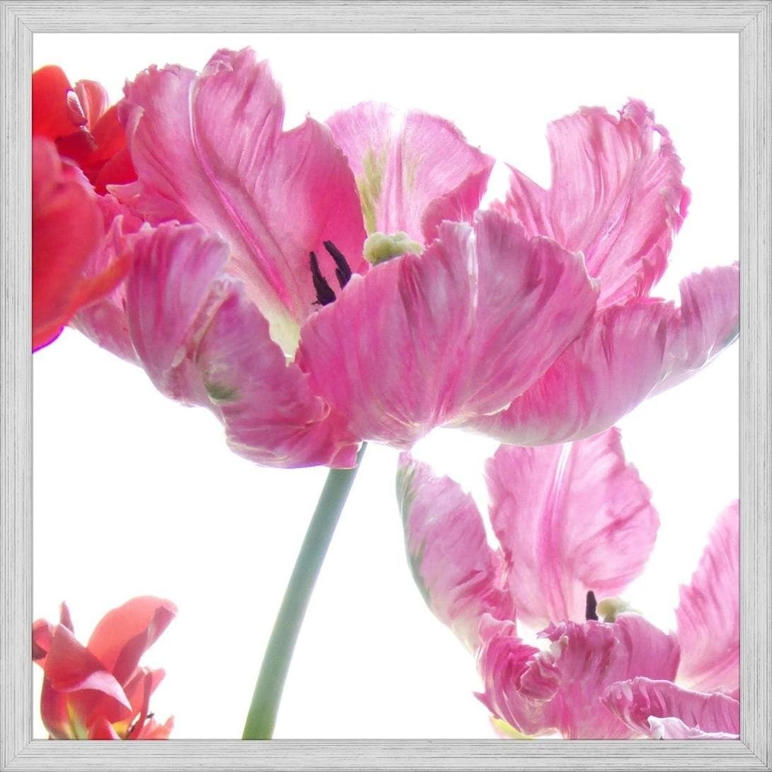 Shop Easy Art Prints Judy Stalus S Parrot Tulips Premium Canvas