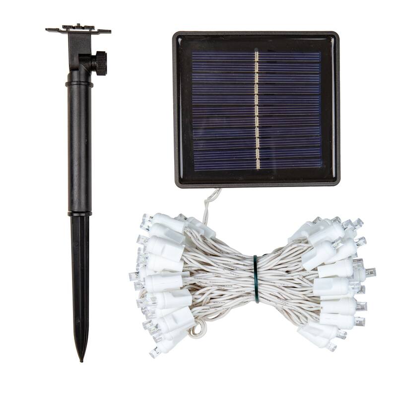 Novelty Lights 50 Light Solar LED Outdoor Christmas Mini Light Set, 12 Feet
