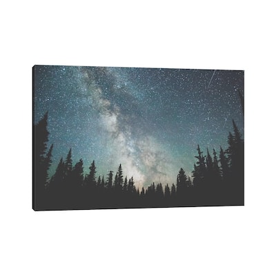 iCanvas "Stars Over The Forest III" by Luke Anthony Gram Canvas Print