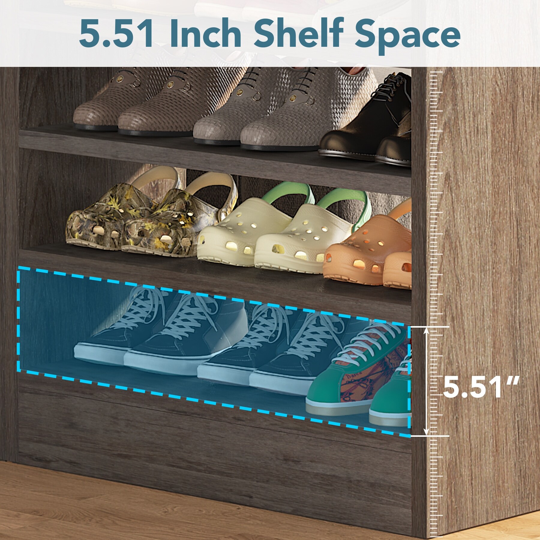 Shoes hotsell case shelf