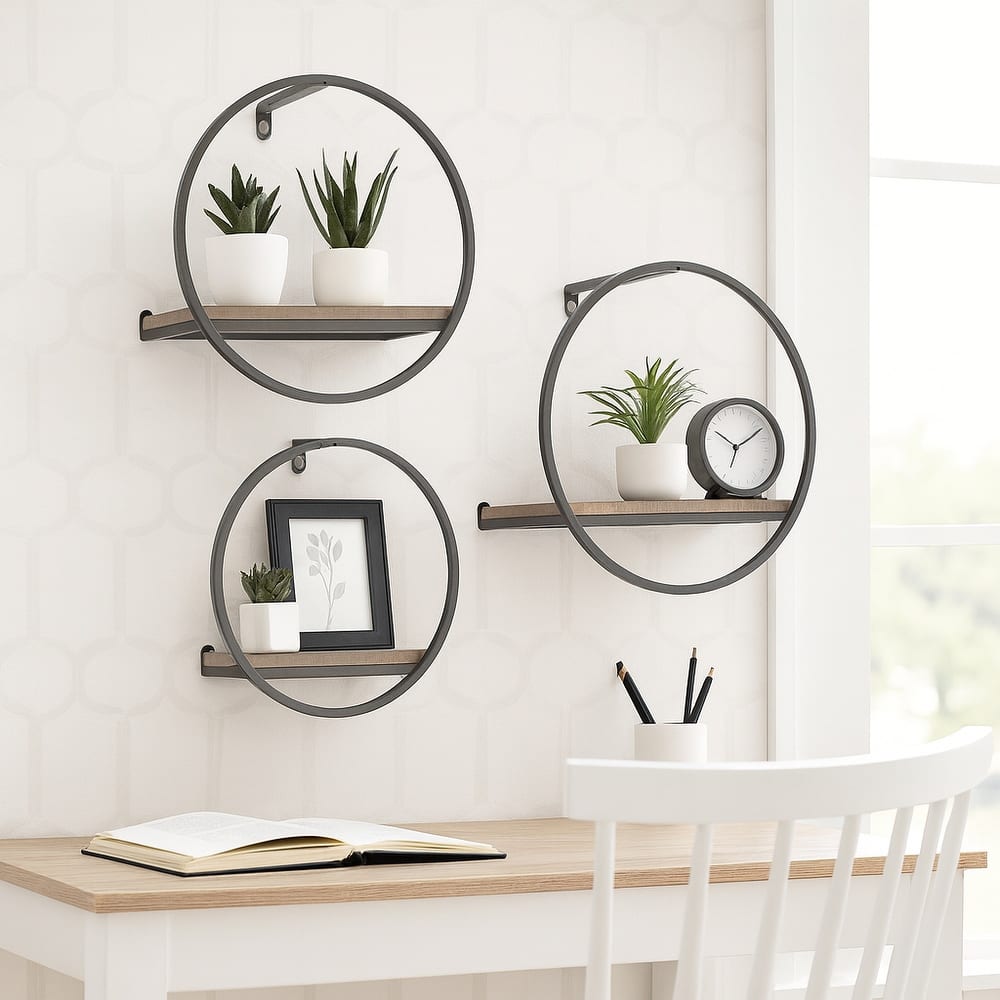 Metal Modern Circular Wall Shelves - Set of 3