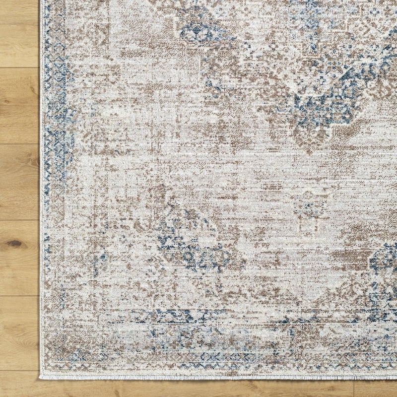 Noyes Traditional Medallion Area Rug