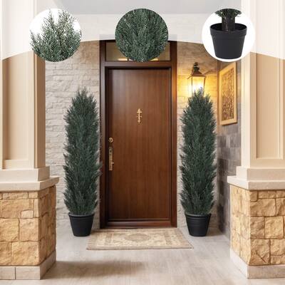 GDFStudio - Lucien Evergreen Artificial Pine Cypress Decorative Plant (Set of 2)