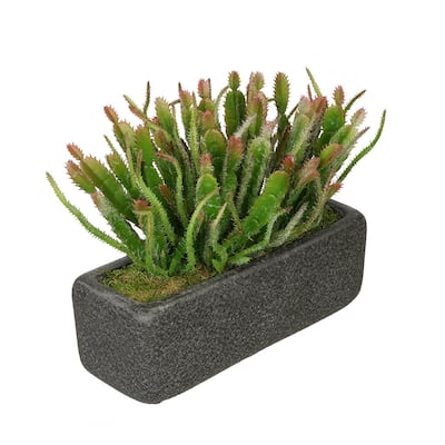 Faux Wild Cactus Garden in Black Sandy-Texture Ceramic Vase