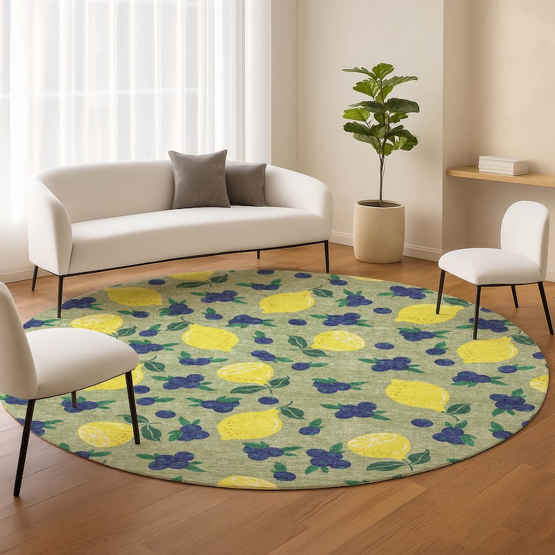 Machine Washable Indoor/ Outdoor Citrus Berry Chantille Rug