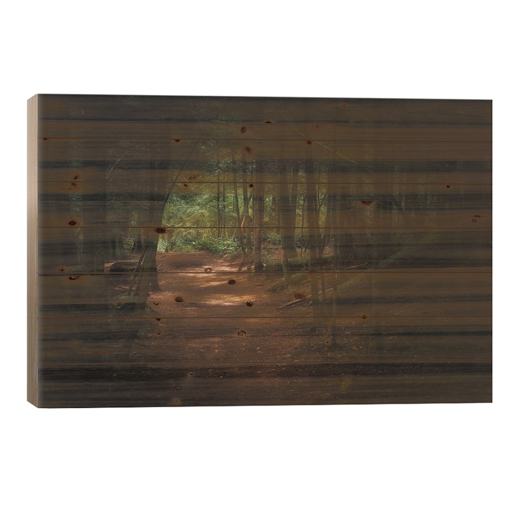 Walk Me Through Print On Wood by Louis Ruth - Multi-Color