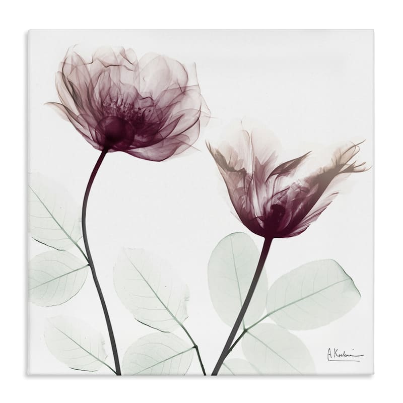 Stupell Minimalist Translucent Flowers Canvas Wall Art Design By Albert Koetsier - 24 x 24