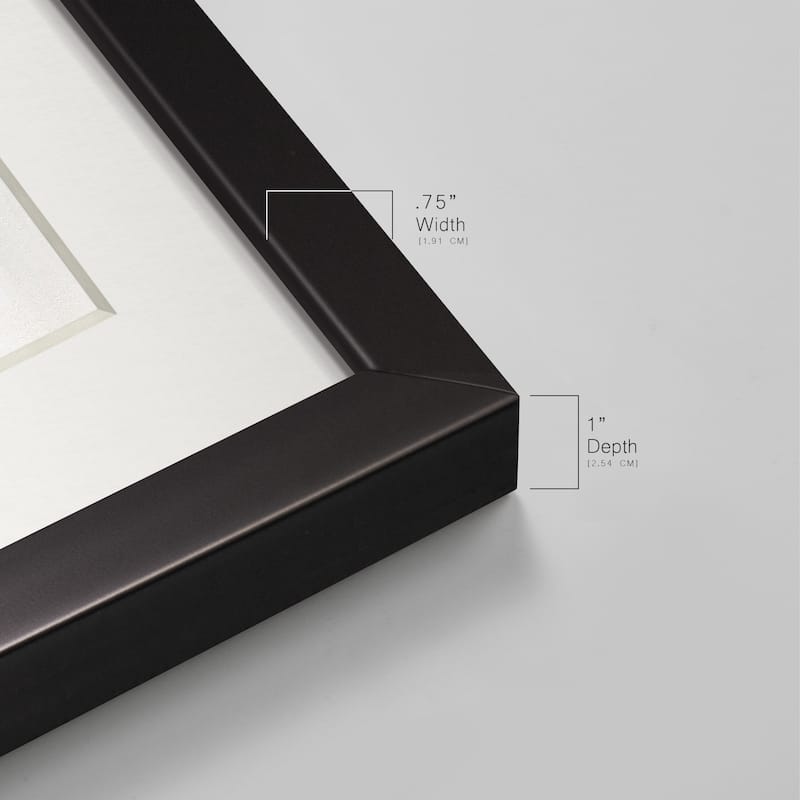 Sheer Elegance I-Premium Gallery Framed Print - Ready to Hang